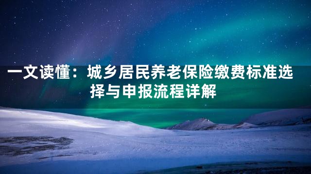 一文读懂：城乡居民养老保险缴费标准选择与申报流程详解