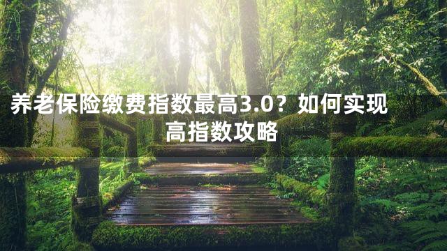 养老保险缴费指数最高3.0？如何实现高指数攻略
