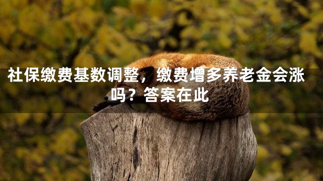 社保缴费基数调整，缴费增多养老金会涨吗？答案在此