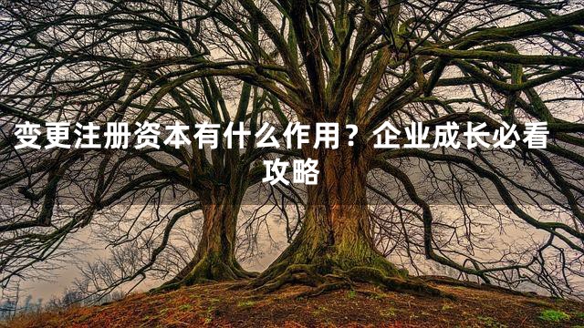 变更注册资本有什么作用？企业成长必看攻略