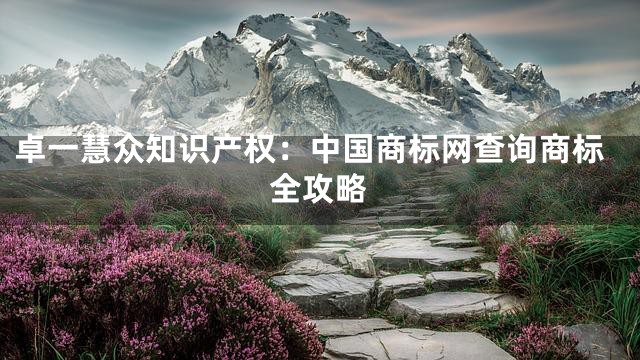 卓一慧众知识产权：中国商标网查询商标全攻略