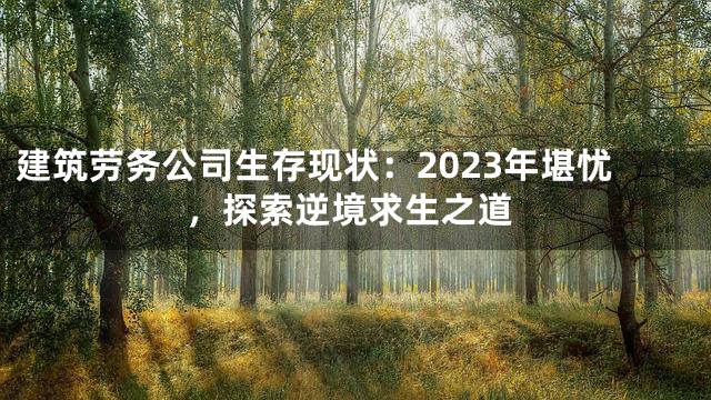 建筑劳务公司生存现状：2023年堪忧，探索逆境求生之道
