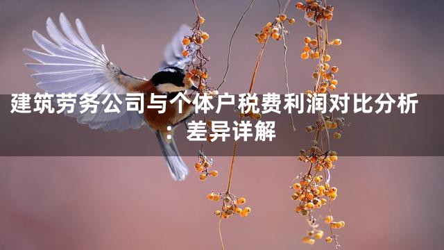 建筑劳务公司与个体户税费利润对比分析：差异详解
