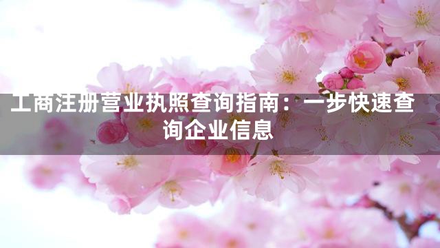 工商注册营业执照查询指南：一步快速查询企业信息