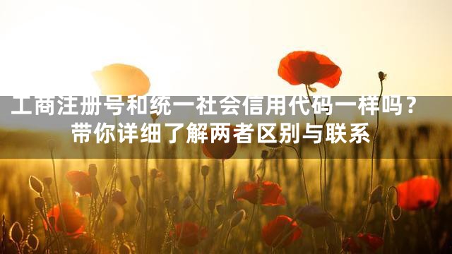 工商注册号和统一社会信用代码一样吗？带你详细了解两者区别与联系