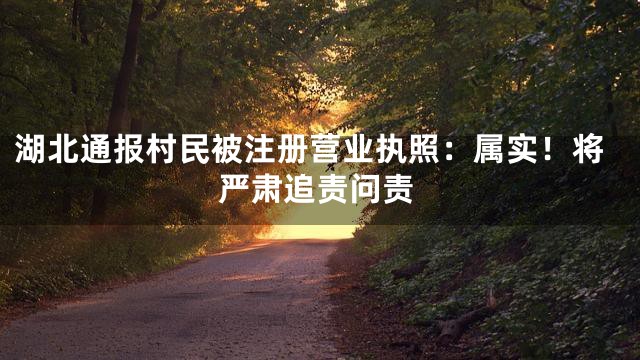 湖北通报村民被注册营业执照：属实！将严肃追责问责