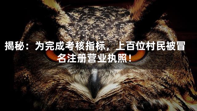 揭秘：为完成考核指标，上百位村民被冒名注册营业执照！