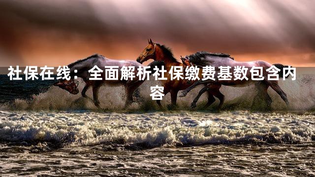 社保在线：全面解析社保缴费基数包含内容