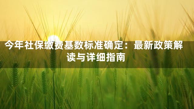 今年社保缴费基数标准确定：最新政策解读与详细指南