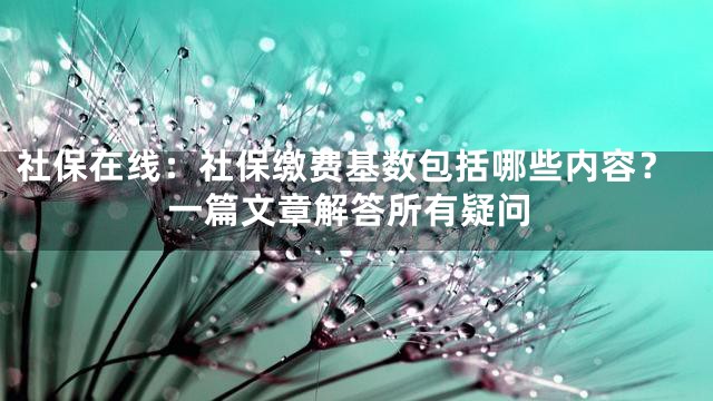社保在线：社保缴费基数包括哪些内容？一篇文章解答所有疑问