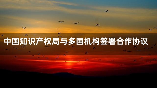中国知识产权局与多国机构签署合作协议
