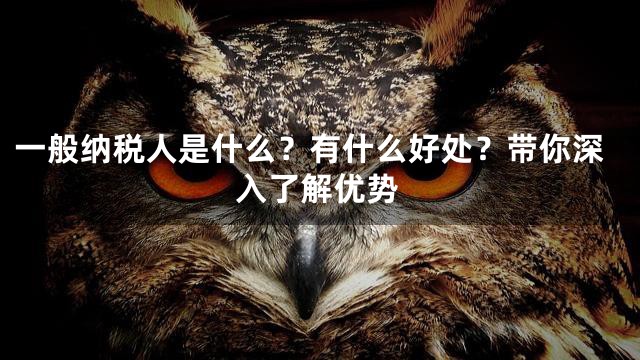 一般纳税人是什么？有什么好处？带你深入了解优势
