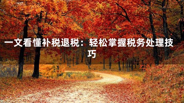 一文看懂补税退税：轻松掌握税务处理技巧
