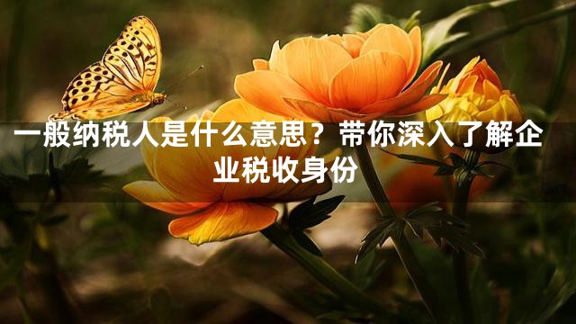 一般纳税人是什么意思？带你深入了解企业税收身份