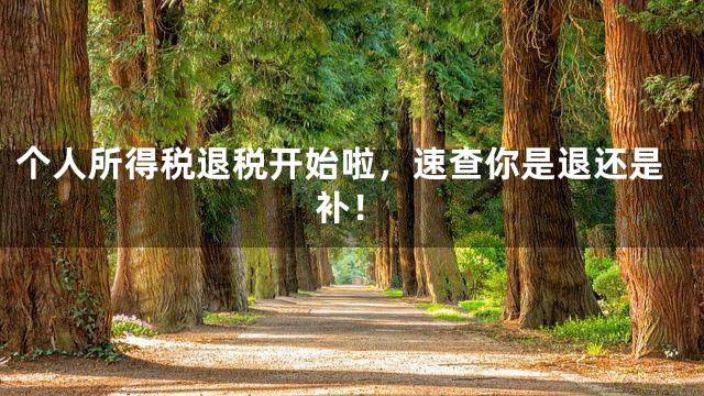 个人所得税退税开始啦，速查你是退还是补！
