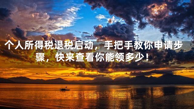 个人所得税退税启动，手把手教你申请步骤，快来查看你能领多少！