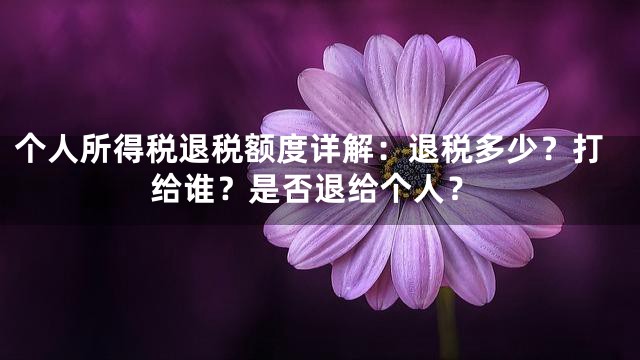 个人所得税退税额度详解：退税多少？打给谁？是否退给个人？