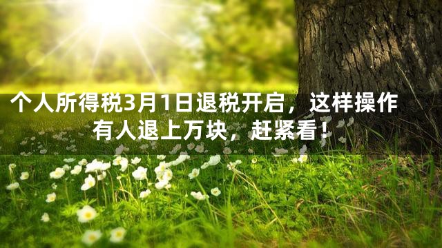 个人所得税3月1日退税开启，这样操作有人退上万块，赶紧看！