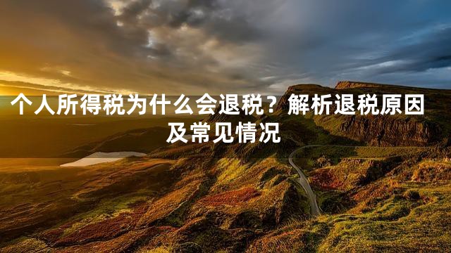 个人所得税为什么会退税？解析退税原因及常见情况