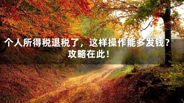 个人所得税退税了，这样操作能多发钱？攻略在此！