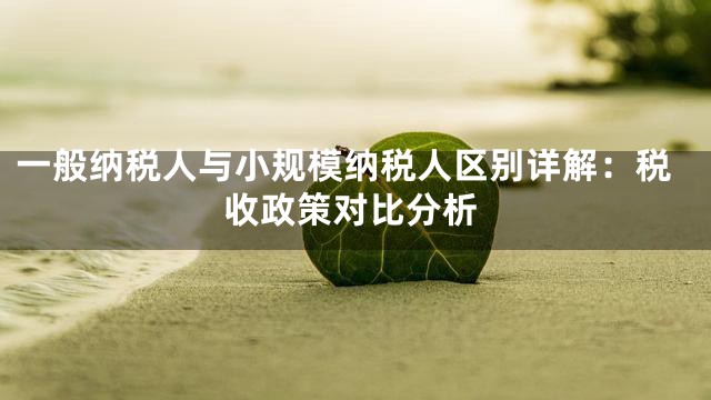 一般纳税人与小规模纳税人区别详解：税收政策对比分析