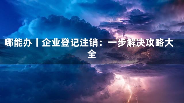 哪能办丨企业登记注销：一步解决攻略大全