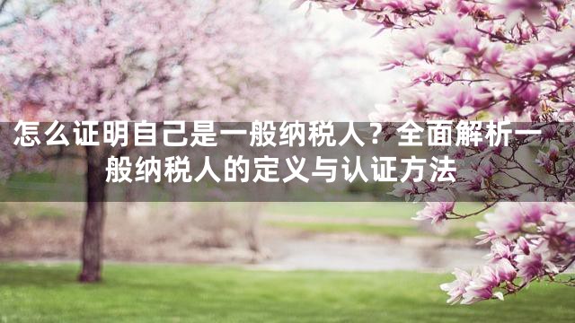 怎么证明自己是一般纳税人？全面解析一般纳税人的定义与认证方法