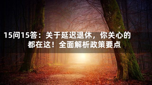 15问15答：关于延迟退休，你关心的都在这！全面解析政策要点