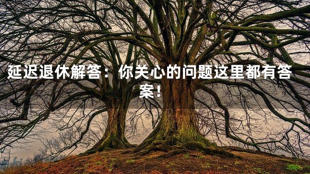 延迟退休解答：你关心的问题这里都有答案！