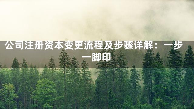 公司注册资本变更流程及步骤详解：一步一脚印