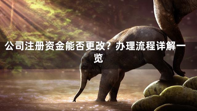 公司注册资金能否更改？办理流程详解一览