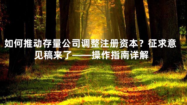 如何推动存量公司调整注册资本？征求意见稿来了——操作指南详解