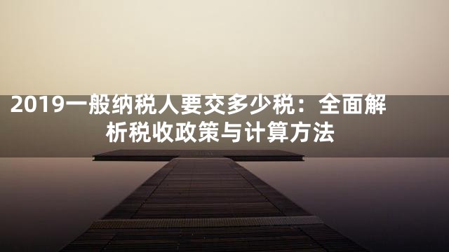 2019一般纳税人要交多少税：全面解析税收政策与计算方法
