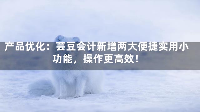 产品优化：芸豆会计新增两大便捷实用小功能，操作更高效！