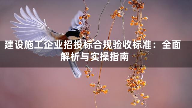 建设施工企业招投标合规验收标准：全面解析与实操指南