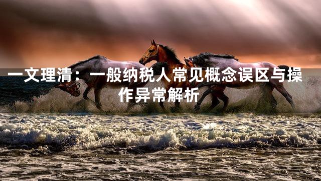 一文理清：一般纳税人常见概念误区与操作异常解析