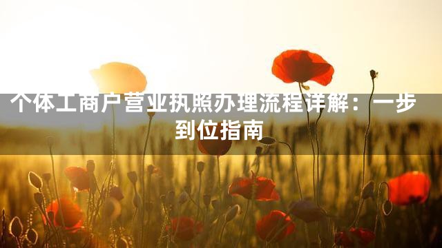 个体工商户营业执照办理流程详解：一步到位指南