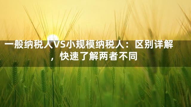 一般纳税人VS小规模纳税人：区别详解，快速了解两者不同