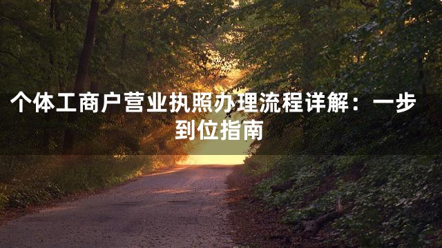 个体工商户营业执照办理流程详解：一步到位指南