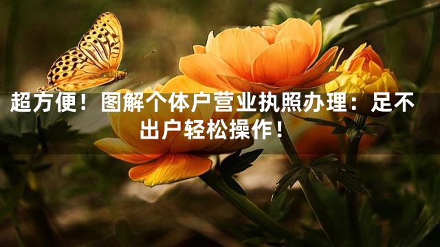 超方便！图解个体户营业执照办理：足不出户轻松操作！