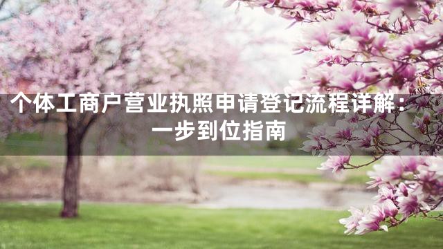 个体工商户营业执照申请登记流程详解：一步到位指南