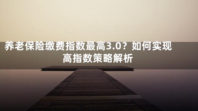 养老保险缴费指数最高3.0？如何实现高指数策略解析
