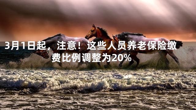 3月1日起，注意！这些人员养老保险缴费比例调整为20%