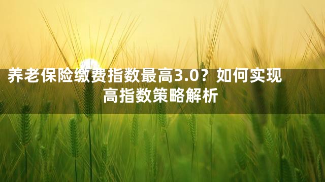 养老保险缴费指数最高3.0？如何实现高指数策略解析