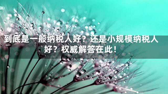 到底是一般纳税人好？还是小规模纳税人好？权威解答在此！