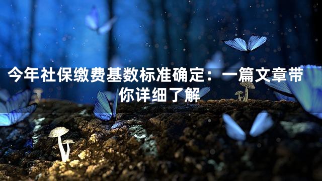 今年社保缴费基数标准确定：一篇文章带你详细了解