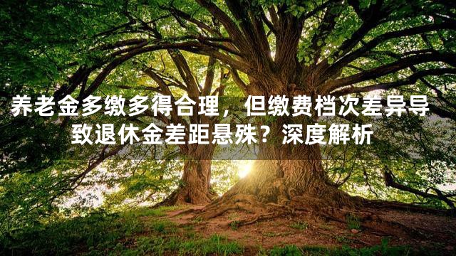养老金多缴多得合理，但缴费档次差异导致退休金差距悬殊？深度解析