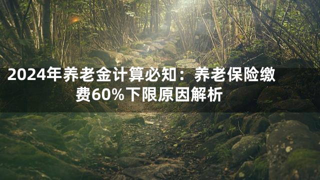 2024年养老金计算必知：养老保险缴费60%下限原因解析