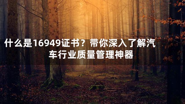 什么是16949证书？带你深入了解汽车行业质量管理神器