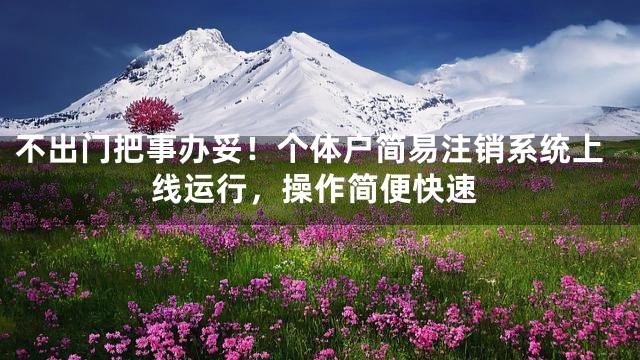不出门把事办妥！个体户简易注销系统上线运行，操作简便快速